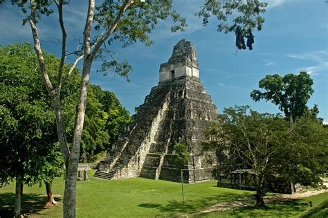 Tikal (Mayan Ruins) in Melchor de Mencos, Peten, Guatemala. Tikal ...