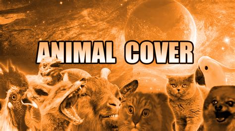 11 Best Animal Covers | Music News @ Ultimate-Guitar.Com @ Ultimate ...