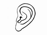 Printable coloring Pages Of ears sketch template