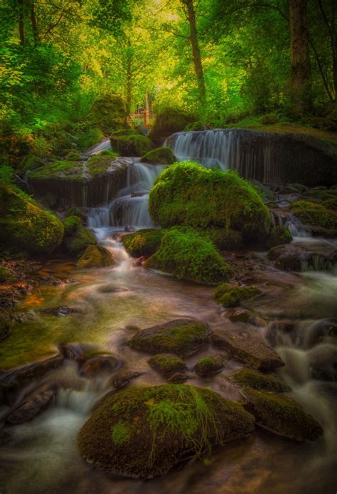 Mystic Forest Waterfall. Photo by Oliver Wittmann. Source Flickr.com ...