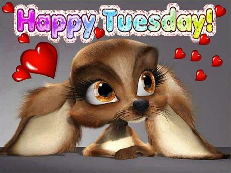 Happy Tuesday Pictures, Photos, and Images for Facebook, Tumblr, Pinterest, and Twitter