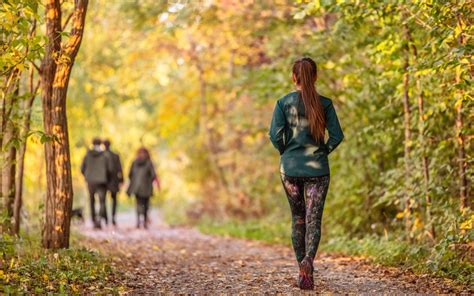 Woman,Walking,In,Autumn,Forest,Nature,Path,Walk,On,Trail - The Optimist