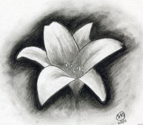 Easy Charcoal Drawings Flowers ... | Blumenzeichnung, Zeichnungen ...