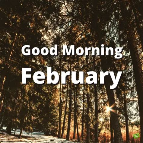 Good Morning, February (Love is in the Air)