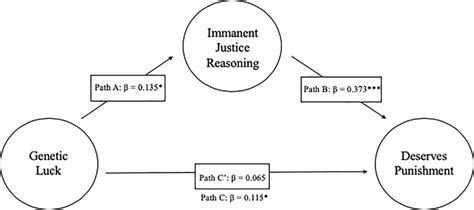 Mediation pathway: immanent justice reasoning mediates increased... | Download Scientific Diagram