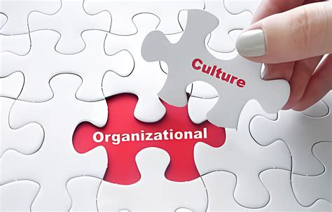 Definitive Guide to Types of Organizational Culture | Akrivia HCM