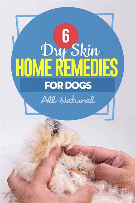 6 Dog Dry Skin Home Remedies in 2020 | Dog dry skin, Dry skin home remedies, Dog flaky skin