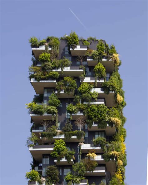 Eco Brutalism Explained: What Is It and Is It Sustainable?