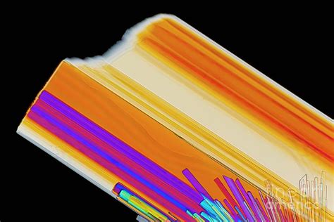 Tyrosine Crystals Photograph by Antonio Romero/science Photo Library ...