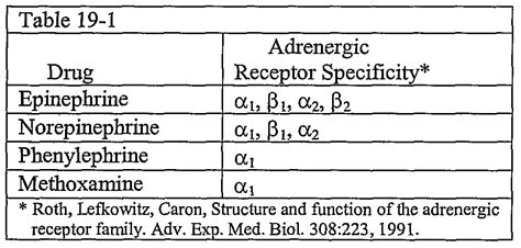 Norepinephrine And Epinephrine