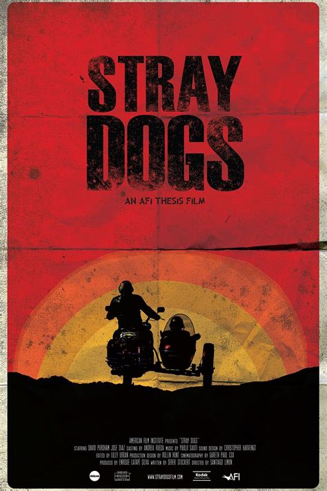 Stray Dogs - Rotten Tomatoes