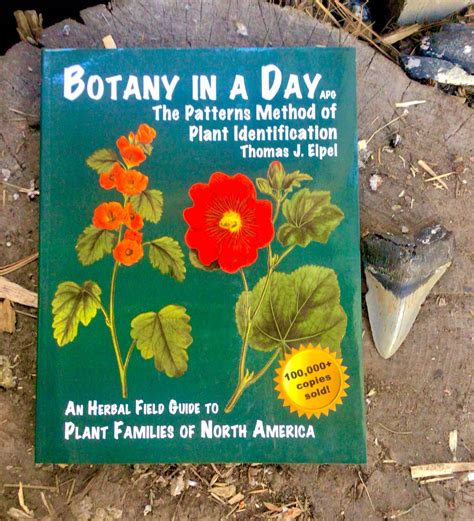 Botany in a Day – Montana Survival Seed