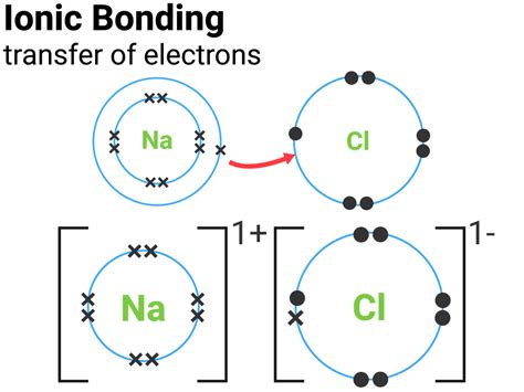 Ionic Bonding Dot And Cross Diagram | My XXX Hot Girl