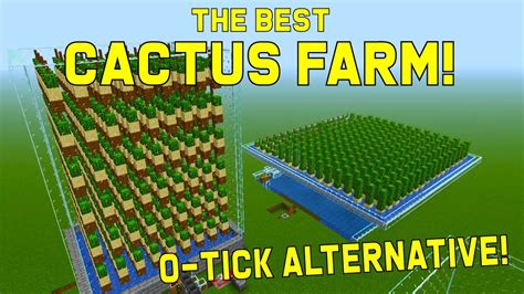 Minecraft Cactus Farm Layout