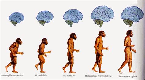 Nostradamus: La Evolución Biologica