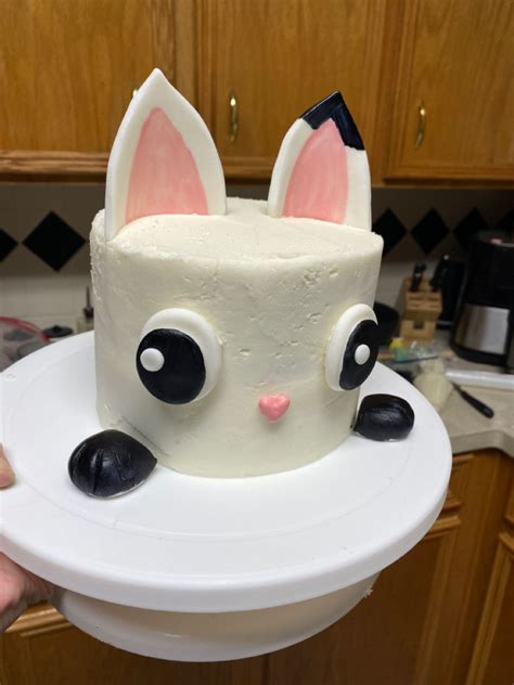 Pandy Cat Cake | Birthday cake for cat, 3rd birthday cakes, Cat cake