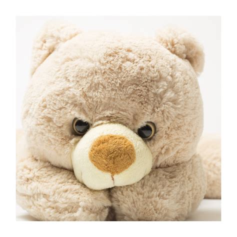 ‎Cuddle up to Your Teddy Bear - Album by Baby Lullabies Songs To Sleep ...