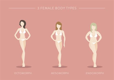 What your body type means — endomorph, mesomorph and ectomorph