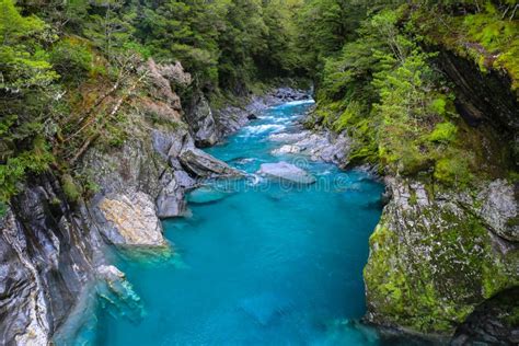 Blue River in the Forest, New Zealand Stock Photo - Image of backgrounds, landscapes: 41503256