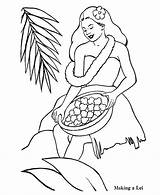 Hawaiian Luau Coloring Pages  Coloring Home sketch template