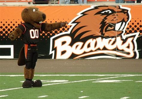 Benny the Beaver | Oregon state beavers, Osu beavers, Beaver