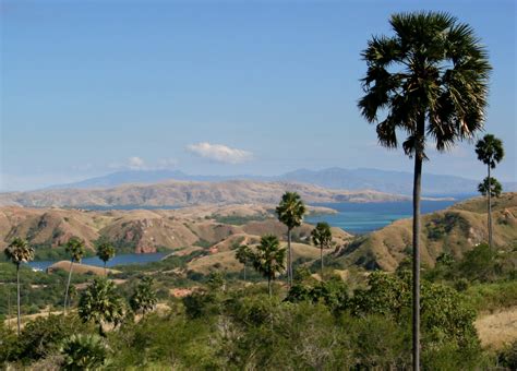 is Most Beautiful Scenery in the World: Komodo Island National Park Flores