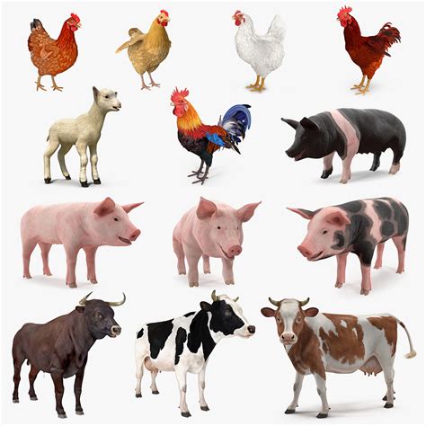 Farm animals big model - TurboSquid 1376645