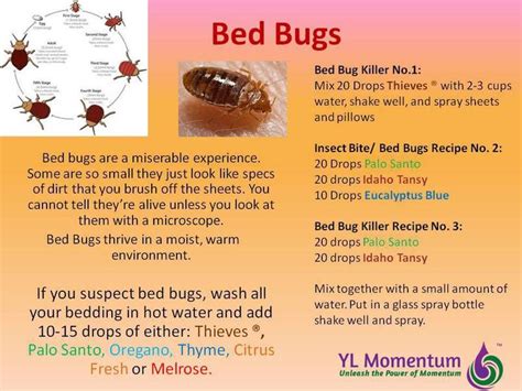 Young Living Essential Oils for Bed Bugs To order any young living product please contact ...