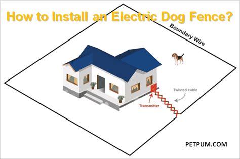 How to Install An Electric Dog Fence? Step by Step Guide.