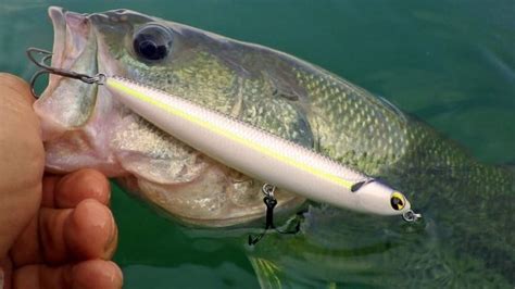 Best Smallmouth Bass Lures - TackleXpert