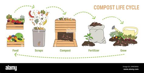 Compost life circle infographic. Composting process. Schema of ...