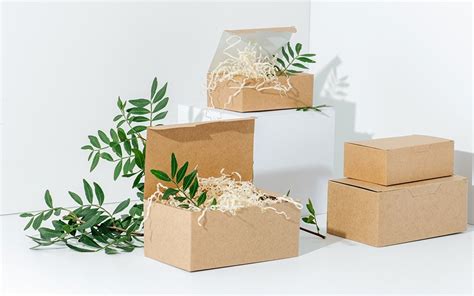 From Beginning to End: Biodegradable Packaging Options - The Packaging ...