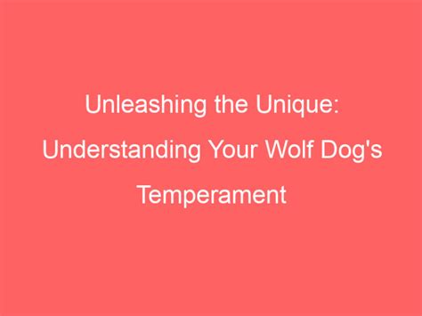 Unleashing the Unique: Understanding Your Wolf Dog's Temperament - Wolf Dog Love