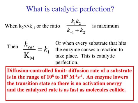 PPT - Enzyme Kinetics and Catalysis II PowerPoint Presentation, free download - ID:306345