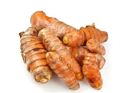 Fresh Turmeric Or Curcuma Rhizome Stock Image - Image of yellow, exotic: 32857271