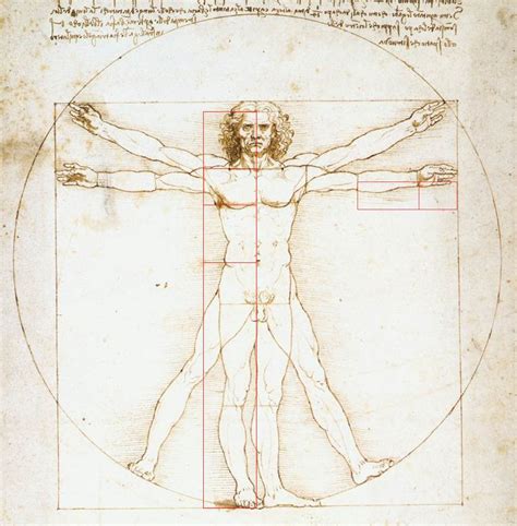 Why Is Vitruvian Man Important