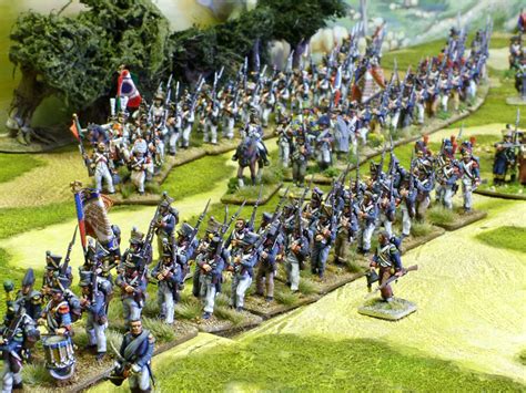 Programma Irrequieto Intrattenere 28mm plastic napoleonic miniatures Impegno macellaio Potente