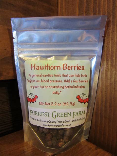 Hawthorn Berries – Forrest Green Farm