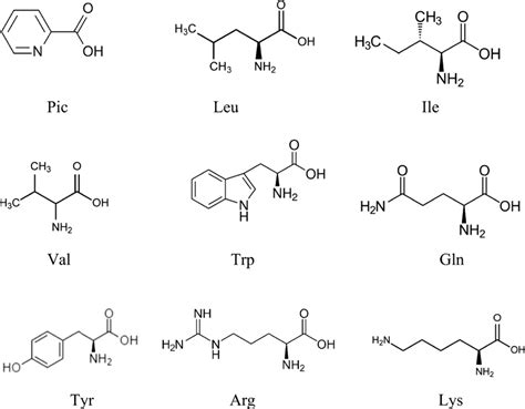 Structure of the ligands used in this work | Download Scientific Diagram