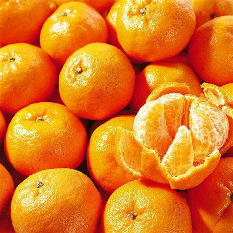 Fresh Fruit, Fresh Mandarin Orange, Fresh Ponkan - China Mandarin and ...