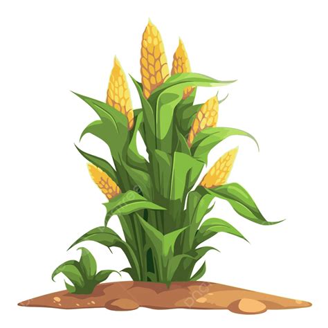 รูปCornstalk Clipart ภาพการ์ตูนของข้าวโพดที่มีฝักสีเหลือง เวกเตอร์ PNG , ก้านข้าวโพด, ภาพตัดปะ ...