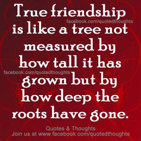 True friendship is like a tree .... | Friendship quotes, Best quotes, Friends quotes