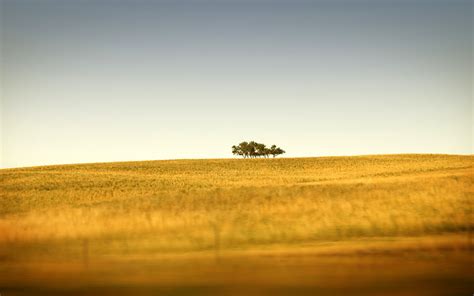 tilt Shift, Landscape, Nature Wallpapers HD / Desktop and Mobile ...