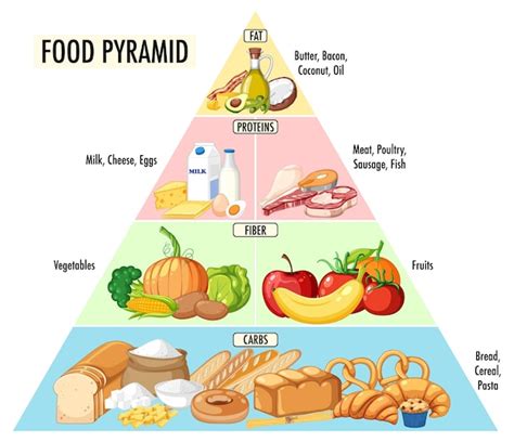 Free Vector | Food nutrition groups pyramid