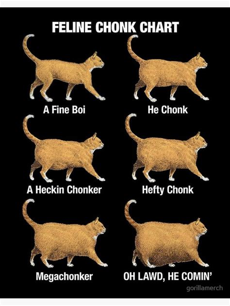 cat chonk chart : r/cat