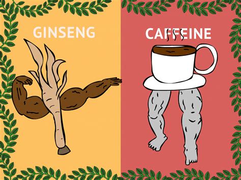 ginseng vs caffeine – Herb Examiner