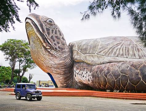 Inside the turtle there is the Jepara Aquarium on the island of Java ...