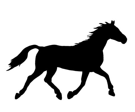 Horse Silhouette