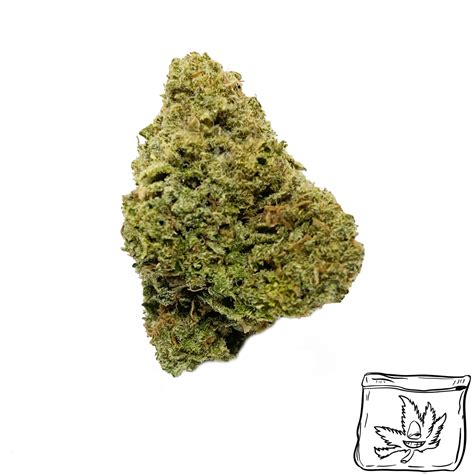 Tropic Thunder - Cheap Weed Canada | Buyweedpacks