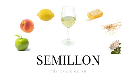 All You Need to Know About Semillon: A Quick Guide | The Grape Grind